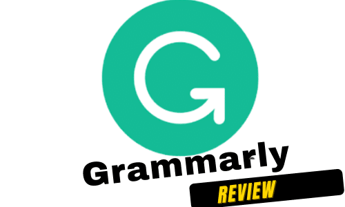 Grammarly for dummies review