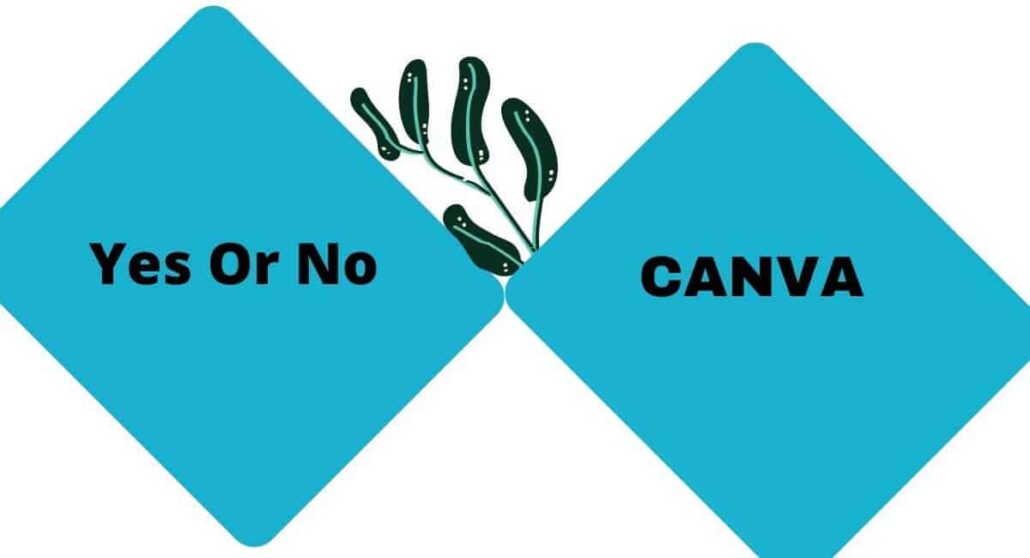 7 reason why use canva