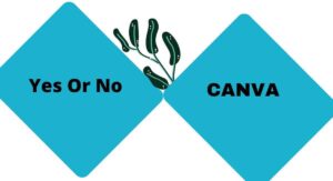 Millionairetek 7-reason-why-use-canva-2-300x163 Home