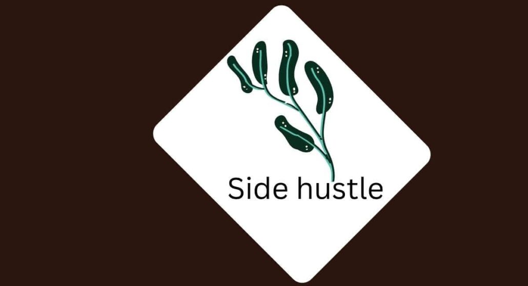 Millionairetek YouTube-side-hustle.-2-1030x558 Make youtube your income generator side hustle?  